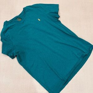 POLO by Ralph Lauren Custom Slim Fit Blue/Green T-Shirt with Yellow Logo (XL)